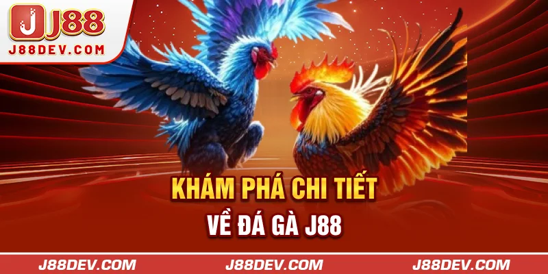 Khám phá chi tiết về đá gà J88